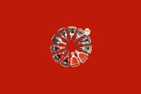 麦盖提回收红酒
